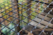 Close-up of a cage outside in the rain
