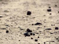 Depth of field photo of a dirt road