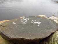Some pawprints on a rock I found