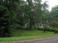 Damage from an EF1 tornado that touched down in Brant on July 11, 2014.

A damaged tree in a yard