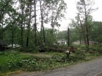 Damage from an EF1 tornado that touched down in Brant on July 11, 2014.

Downed trees and a damaged utility pole