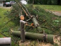 Damage from an EF1 tornado that touched down in Brant on July 11, 2014.

Downed trees await cutting
