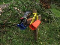 Damage from an EF1 tornado that touched down in Brant on July 11, 2014.

A mailbox wrecked by falling trees