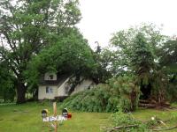 Damage from an EF1 tornado that touched down in Brant on July 11, 2014.

Multiple trees down in a yard, and one leaning on the house