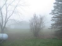 A foggy morning