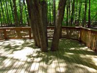 A deck constructed along the forest line at South Chagrin Reservation