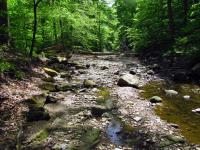 The creek at South Chagrin Reservation. It was refreshingly cool on my feet