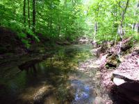 The creek at South Chagrin Reservation