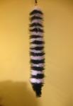 My new lemur tail