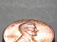 Interesting macro photo of a penny. There was so much light reflecting off it the camera couldn't really handle it and created a rainbow pattern