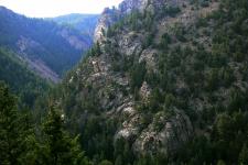 Cliffside covered in trees in the Rocky Mountains