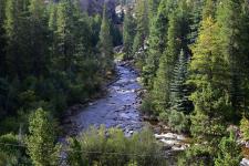 Creek in the Rocky Mountains