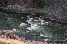 Colorado River whitewater rapids