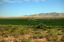 Irrigation in the desert in Utah or Nevada