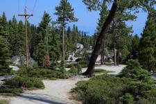 One of the many public trails/recreation areas on the west shore of Lake Tahoe