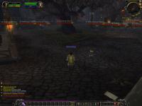 As you progress in the worgen starting chain, more and more worgen appear