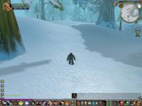 My very first screenshot of WoW ever...Foxthorn, my first character, at level 9