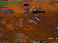 Laughing at a 57 druid in Westfall
