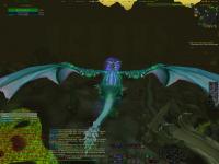 Flying back to Shattrath on the back of a mighty Netherwing dragon after becoming exalted with them