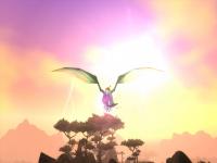 Nice shot of my Netherwing drake in front of the sun somewhere in Outland