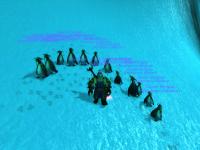 Penguin army acquired while completing the Critter Gitter achievement