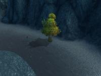 Me disguised as a tree in Azuremyst, while working on Loremaster of Kalimdor