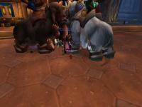 Some guildies riding their mammoths after getting Heroism + firewater + gigantic feast