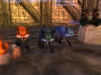 Me, Grudek, and Neinna showing off our new foxes