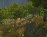 I bless the rains down in Stranglethorn... (Taken as part of my old WoW journal project)