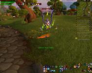 Killing some group rares in Nagrand with other players